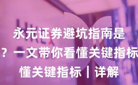 永元证券避坑指南是否可靠？一文带你看懂关键指标｜详解