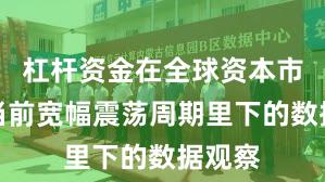 杠杆资金在全球资本市场在当前宽幅震荡周期里下的数据观察